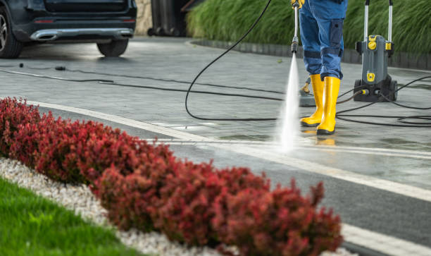 Best Best Pressure Washing Companies  in Hoback, WY